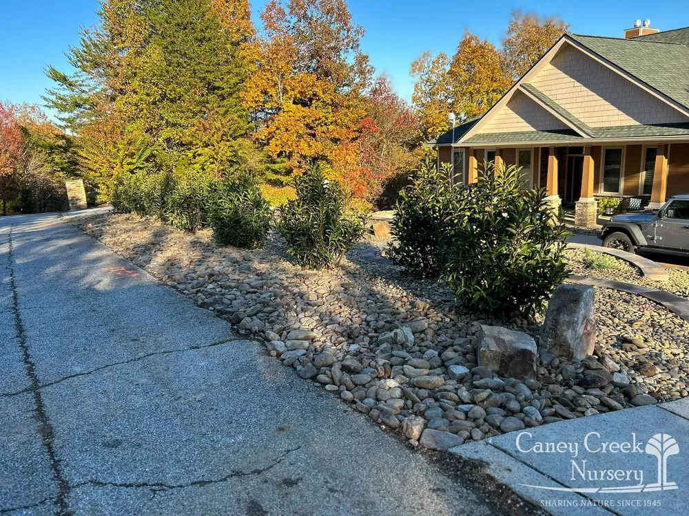 Affordable outdoor landscaping experts serving Rockwood, TN - Caney Creek Nursery