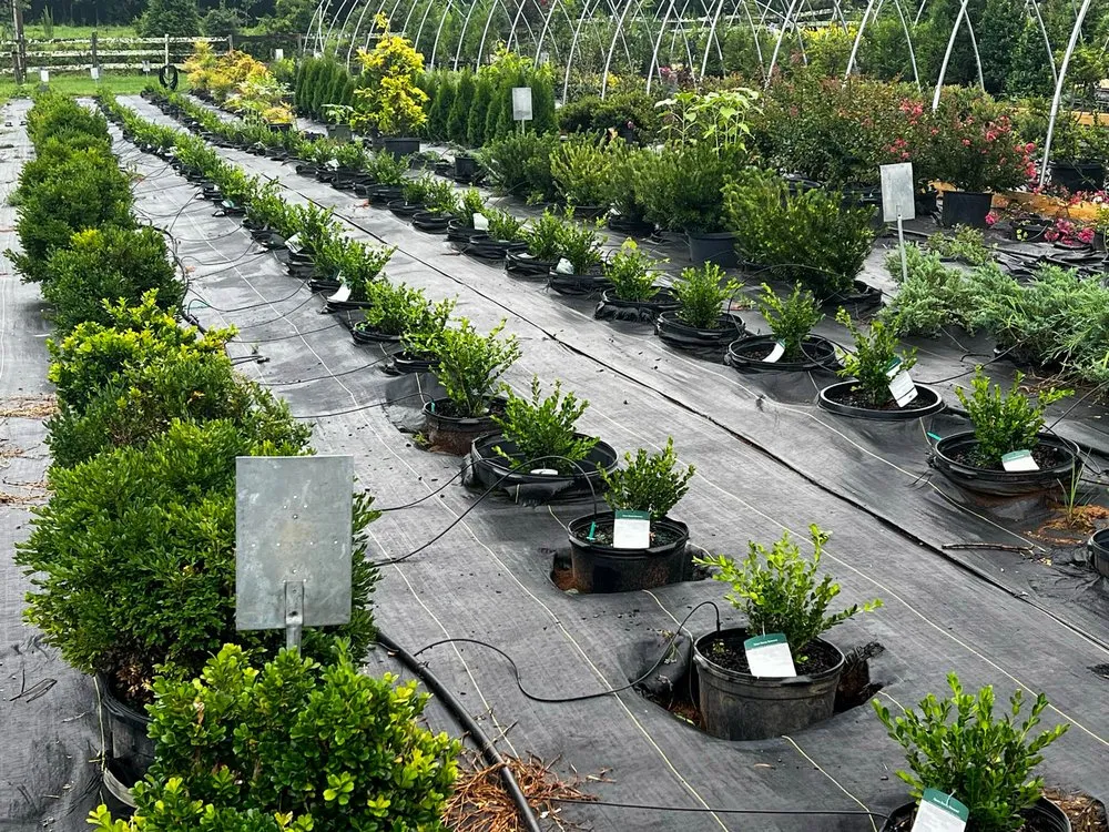 Local garden landscaping for homes across Rockwood, TN - Caney Creek Nursery