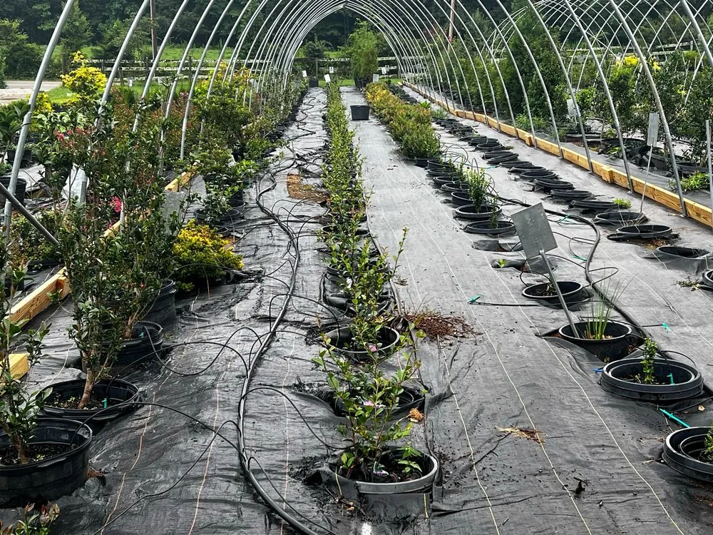 Local residential landscaping in Rockwood, TN - Caney Creek Nursery