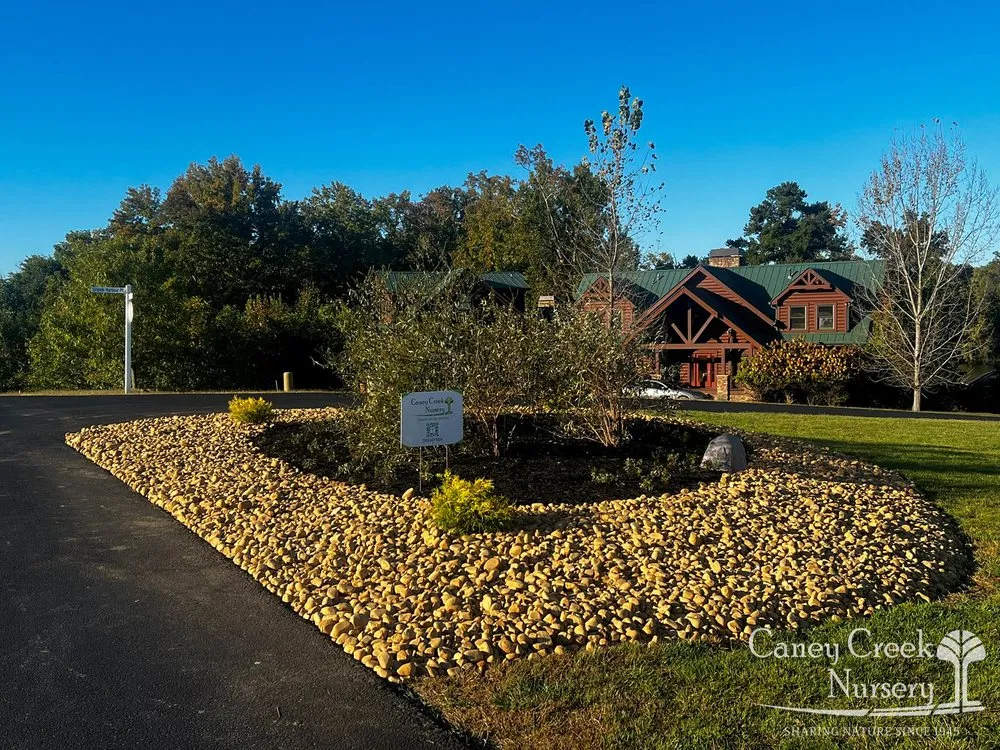 Professional landscape design for beautiful yards in Rockwood, TN by Caney Creek Nursery
