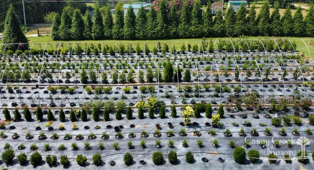 Trusted garden landscaping in Rockwood, TN - Caney Creek Nursery