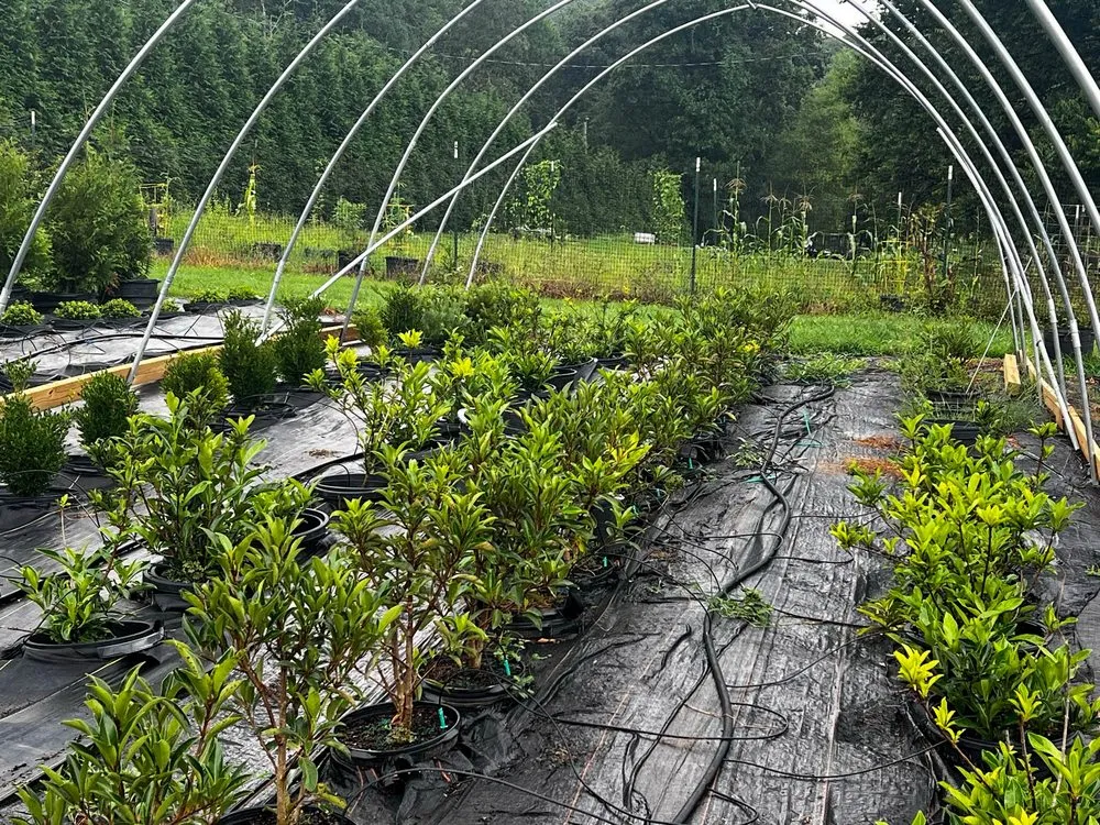 Professional lawn mowing service in Rockwood, TN - Caney Creek Nursery