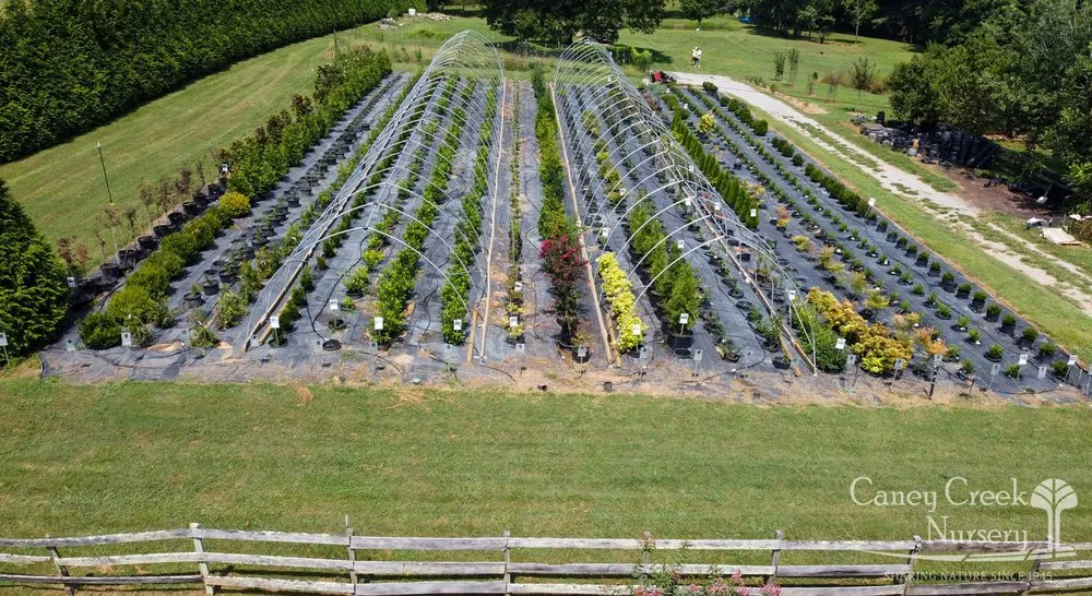 Custom landscaping services near you across Rockwood, TN - Caney Creek Nursery