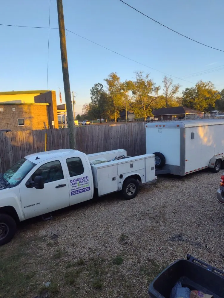 Top-rated landscape installation experts serving Prairieville, LA - Cangelosi Lawns