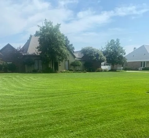 Top-rated landscaping services in Prairieville, LA - Cangelosi Lawns