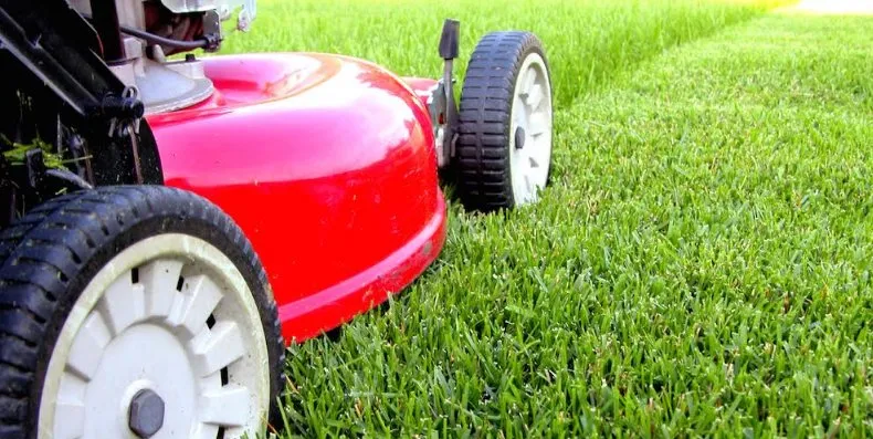 Top-rated outdoor landscaping for beautiful yards across Prairieville, LA - Cangelosi Lawns