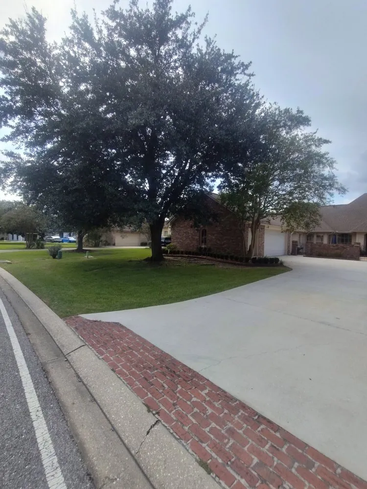 Trusted yard cleanup service in Prairieville, LA - Cangelosi Lawns