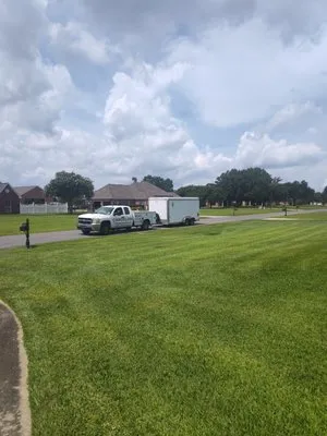 Cangelosi Lawns Logo