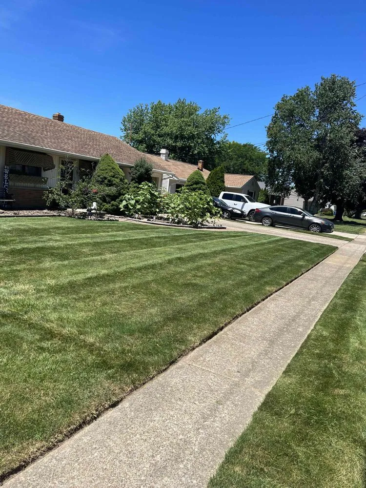 Local yard cleanup service experts serving Sandusky, OH - Canino's Lawn Care