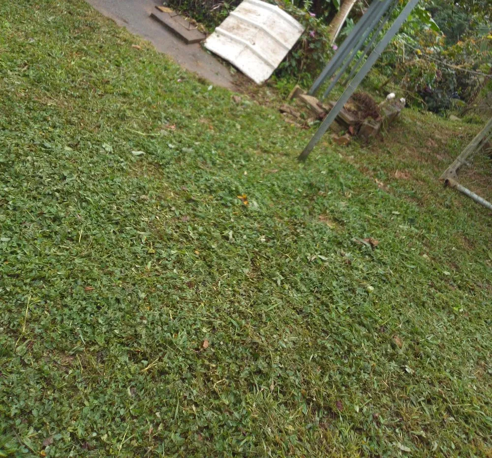 Reliable residential landscaping in Hartford, CT by Canito Landscaping