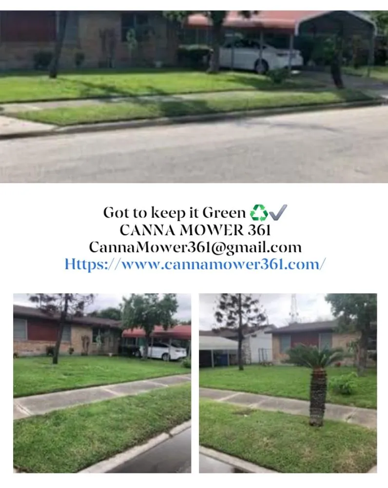 Expert yard cleanup service in CORP CHRISTI, TX by Canna Mower