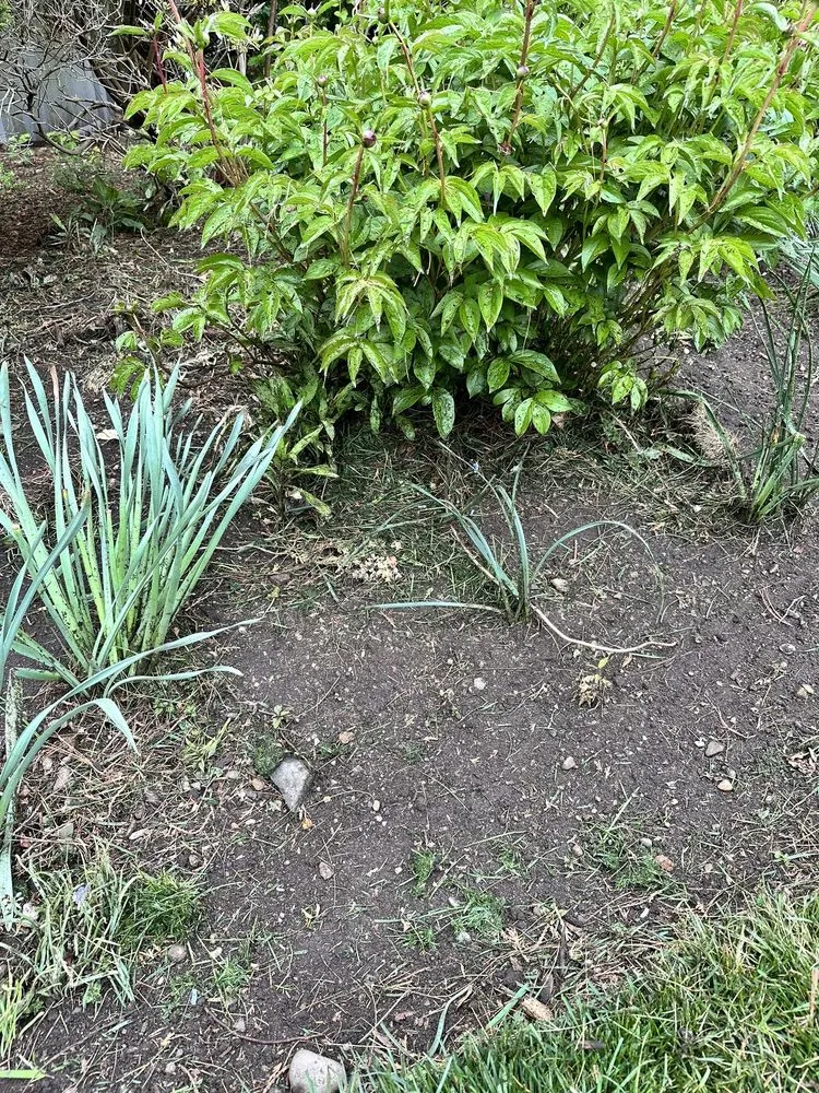 Local garden landscaping experts serving Wayne, NJ - Cannizzaro Landscaping