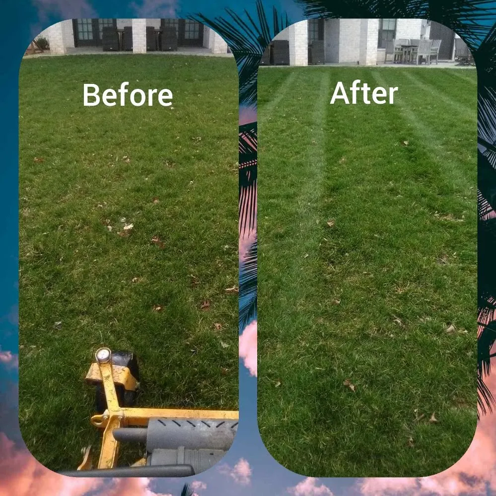 Custom landscaping services near you in Granite Falls, NC by Cannon Lawn Care