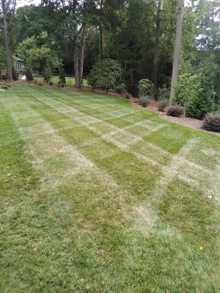 Custom landscaping services in Granite Falls, NC by Cannon Lawn Care