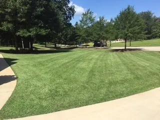 Affordable landscaping services for year-round maintenance across Slocomb, AL - Cannon Lawn Care