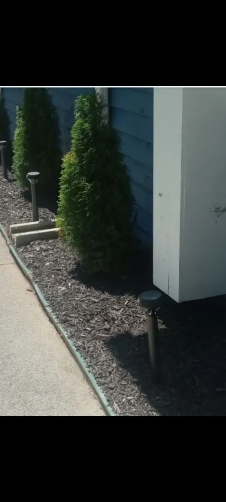 Reliable lawn mowing service in Byron, GA by Cannon Lawncare