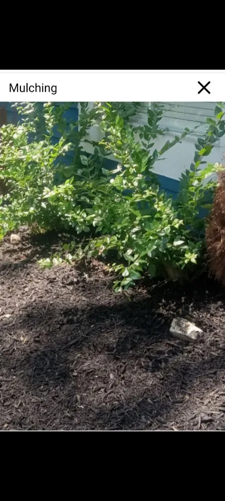 Professional landscape design with custom design across Byron, GA - Cannon Lawncare