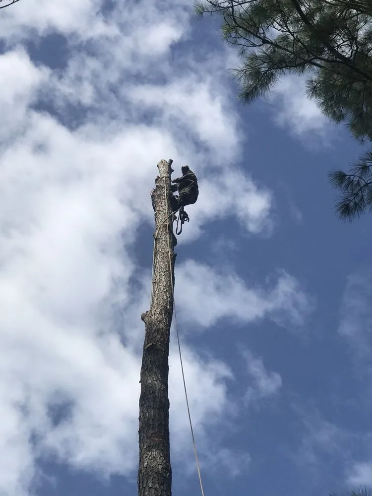 Custom lawn care service for outdoor upgrades in Adel, GA by Cannon Tree & Lawn Service