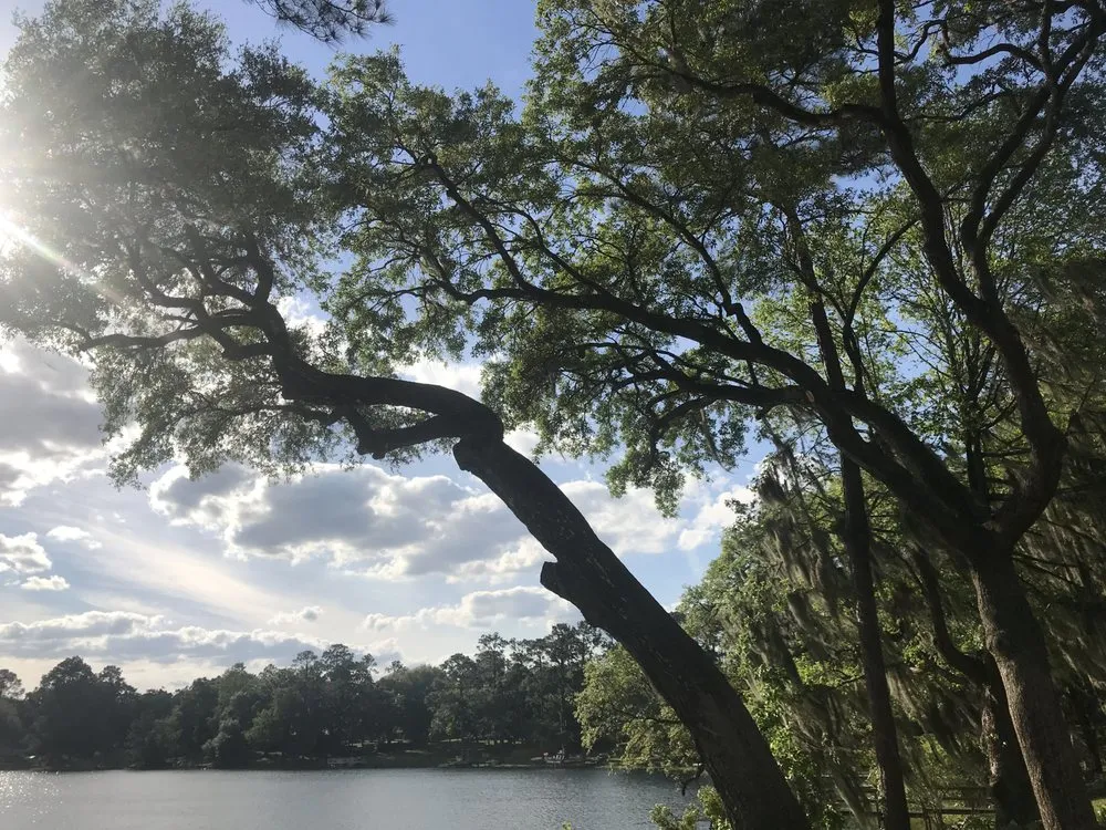 Reliable landscape design with custom design across Adel, GA - Cannon Tree & Lawn Service