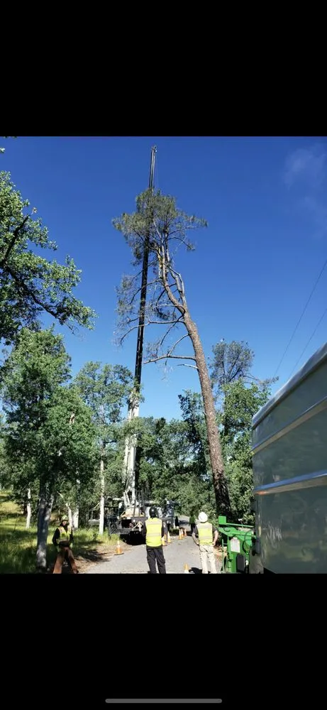 Professional garden landscaping in Redding, CA by Cannon Tree Service