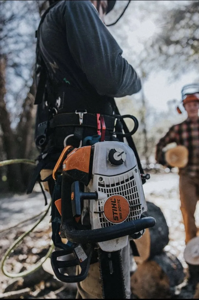 Trusted lawn care service in Redding, CA by Cannon Tree Service