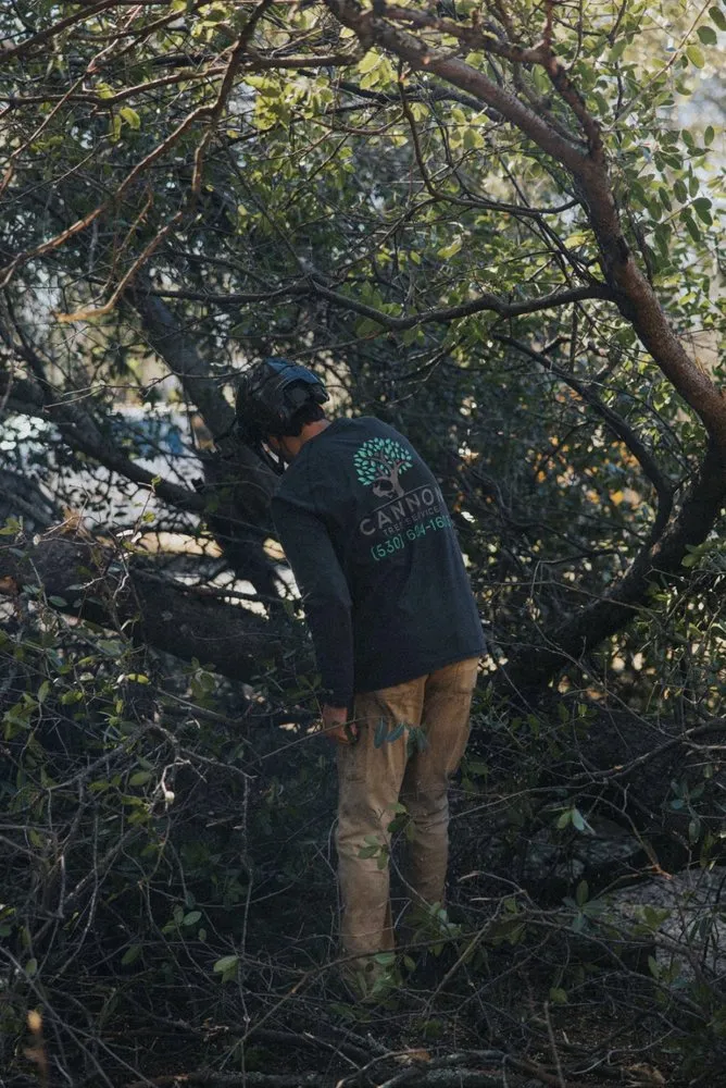 Affordable garden landscaping for homes in Redding, CA by Cannon Tree Service