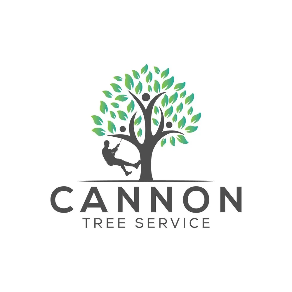 Professional landscape design with custom design in Redding, CA by Cannon Tree Service