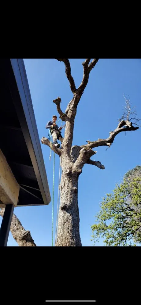 Affordable yard maintenance for year-round maintenance across Redding, CA - Cannon Tree Service