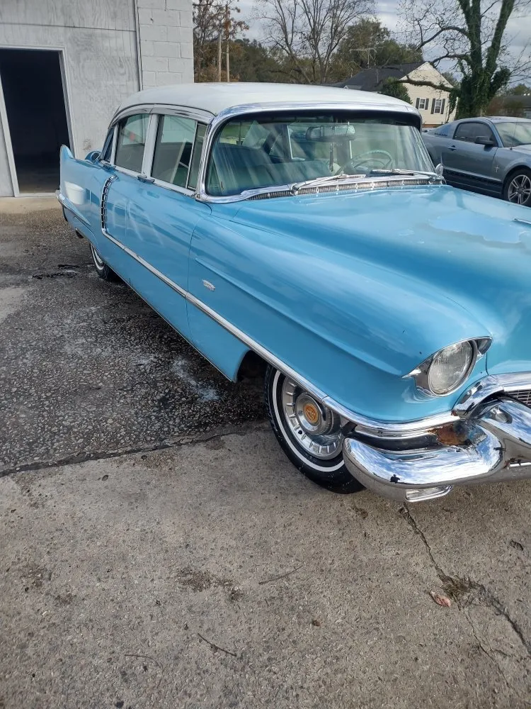 Custom yard maintenance for year-round maintenance in Bamberg, SC by Cann's Professional Services