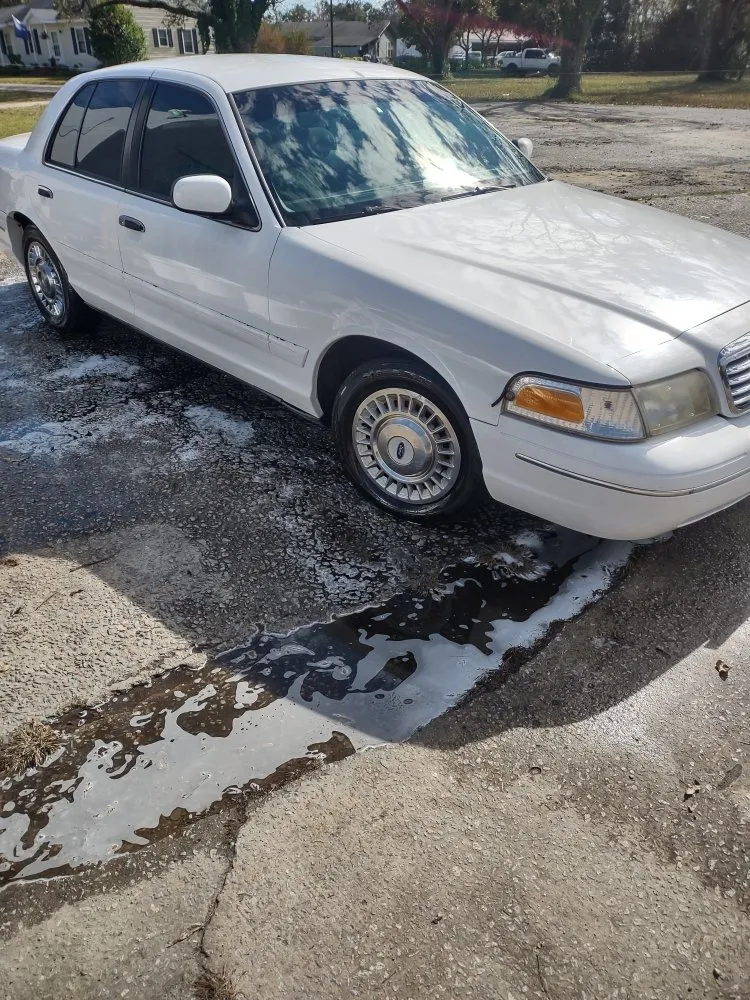 Top-rated landscape installation for year-round maintenance in Bamberg, SC by Cann's Professional Services