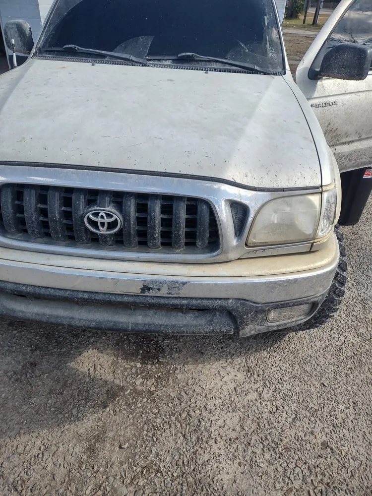 Affordable garden landscaping in Bamberg, SC - Cann's Professional Services