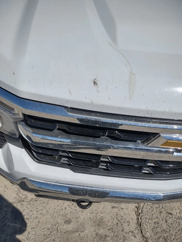 Affordable outdoor landscaping for year-round maintenance in Bamberg, SC by Cann's Professional Services