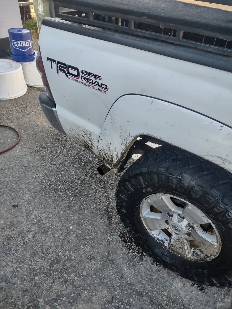 Expert landscaping services in Bamberg, SC by Cann's Professional Services