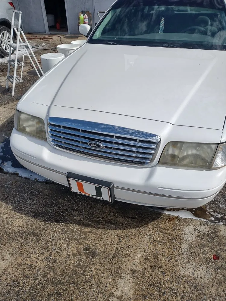 Professional landscape installation for outdoor upgrades in Bamberg, SC by Cann's Professional Services