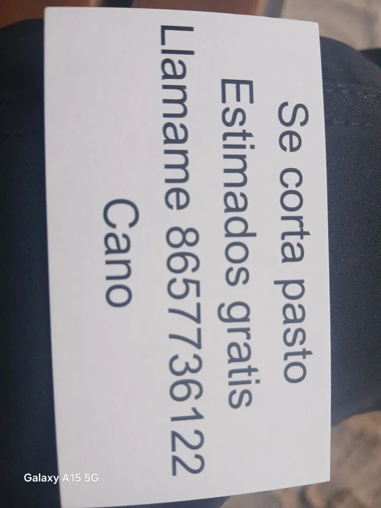 Top-rated yard cleanup service for beautiful yards across Lenoir City, TN - Cano Landscape