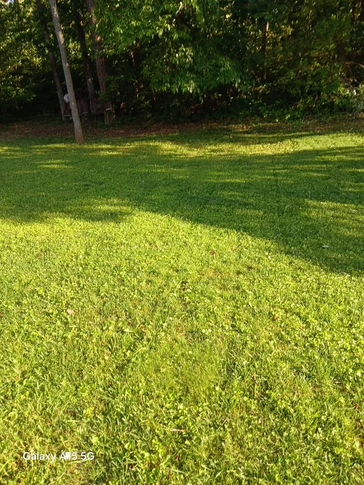 Local yard cleanup service in Lenoir City, TN - Cano Landscape