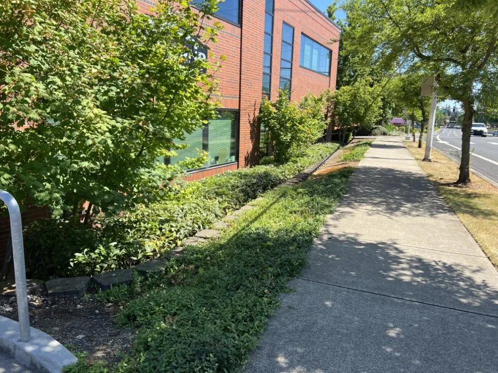 Top-rated landscape design for residential properties across Portland, OR - Cano Landscape