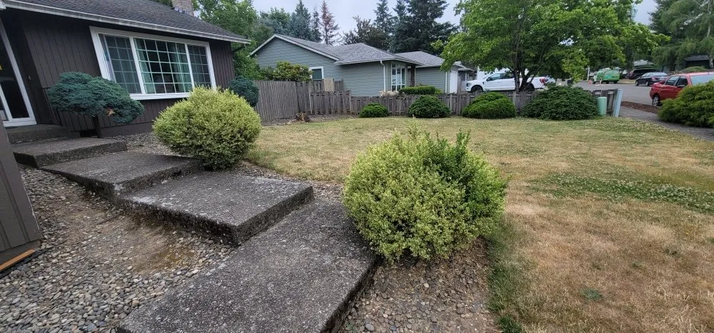 Custom yard maintenance experts serving Portland, OR - Cano Landscape