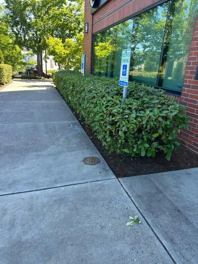 Expert outdoor landscaping experts serving Portland, OR - Cano Landscape