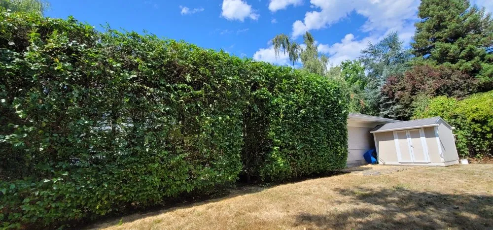 Trusted garden landscaping near you across Portland, OR - Cano Landscape