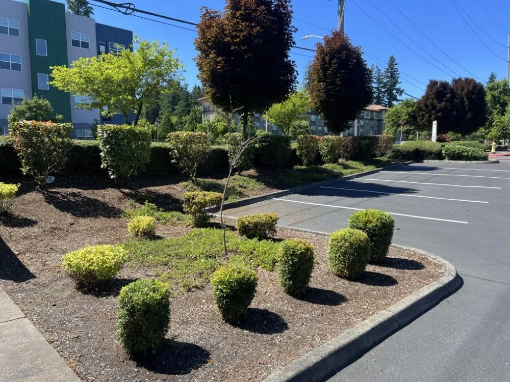 Custom yard maintenance experts serving Portland, OR - Cano Landscape