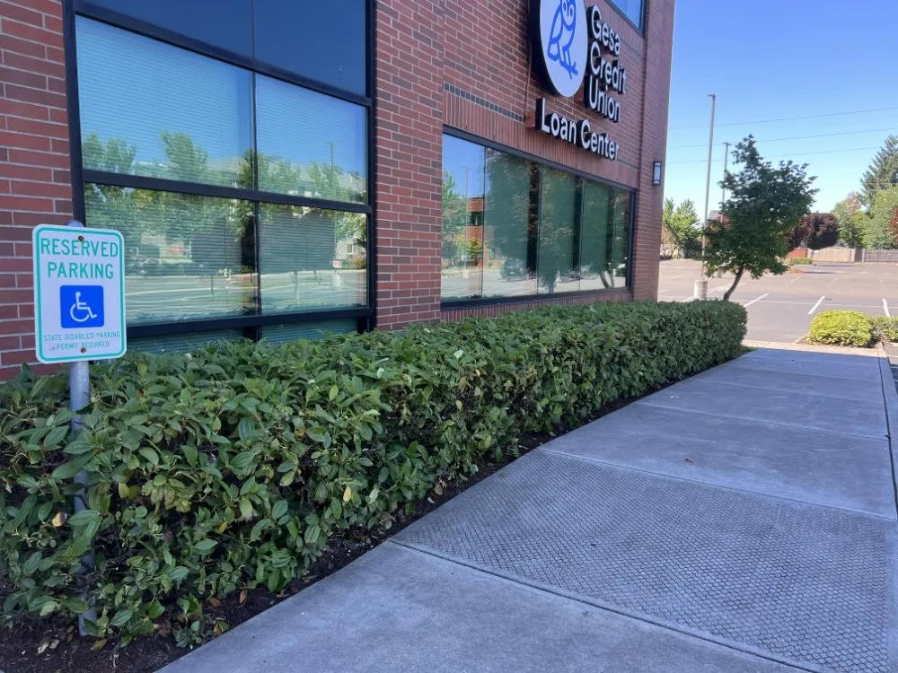 Professional yard maintenance in Portland, OR - Cano Landscape