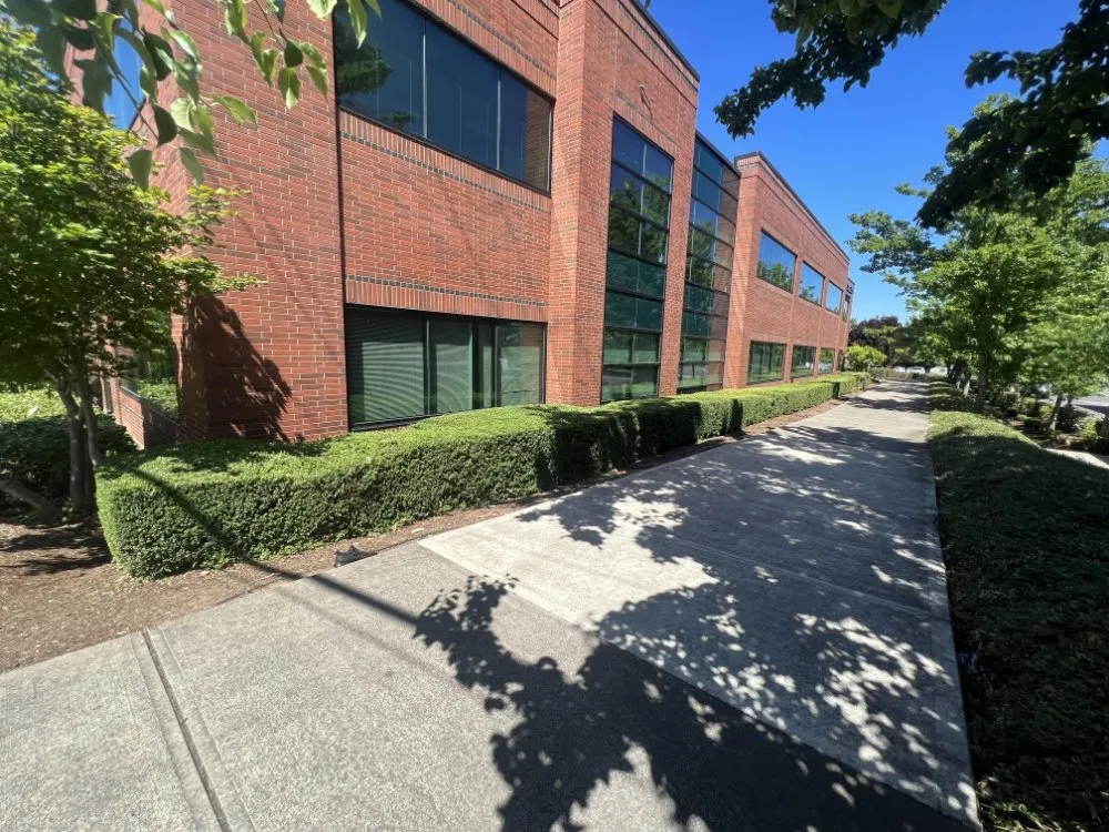 Expert yard cleanup service for residential properties in Portland, OR by Cano Landscape