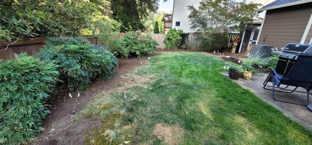 Reliable lawn care service experts serving Portland, OR - Cano Landscape