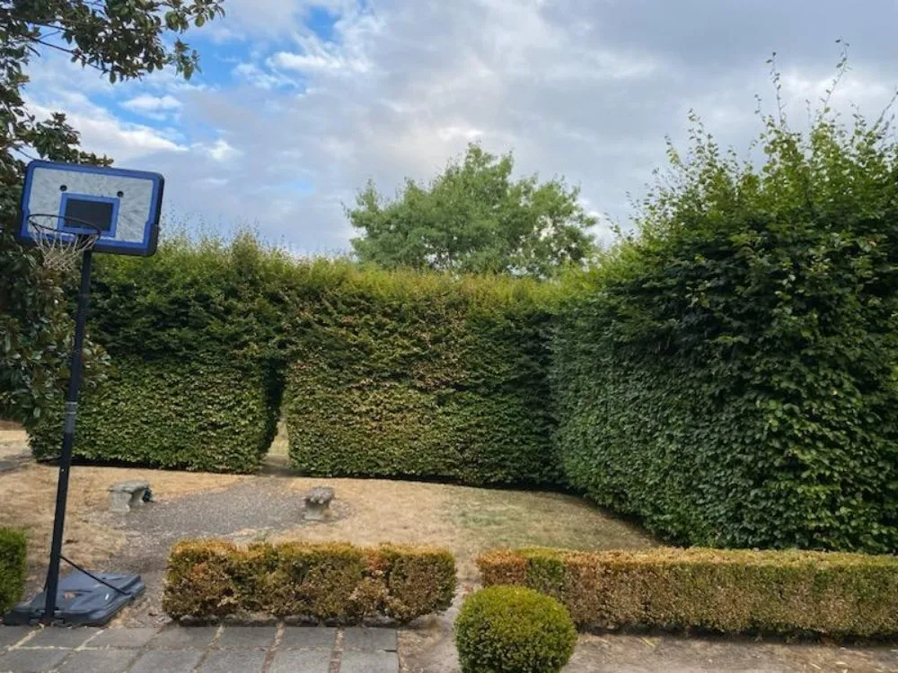 Professional landscaping services near you in Portland, OR by Cano Landscape