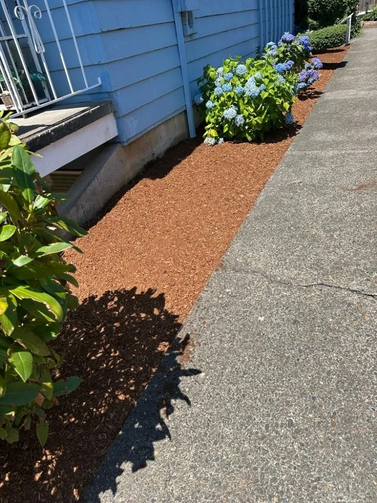 Expert residential landscaping in Portland, OR - Cano Landscape