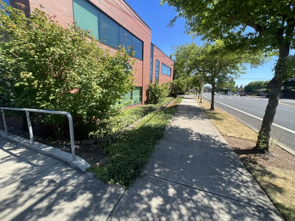 Top-rated landscape installation for year-round maintenance across Portland, OR - Cano Landscape