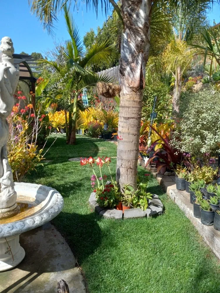 Top-rated landscape design in San Juan Capistrano, CA by Cano Landscapes