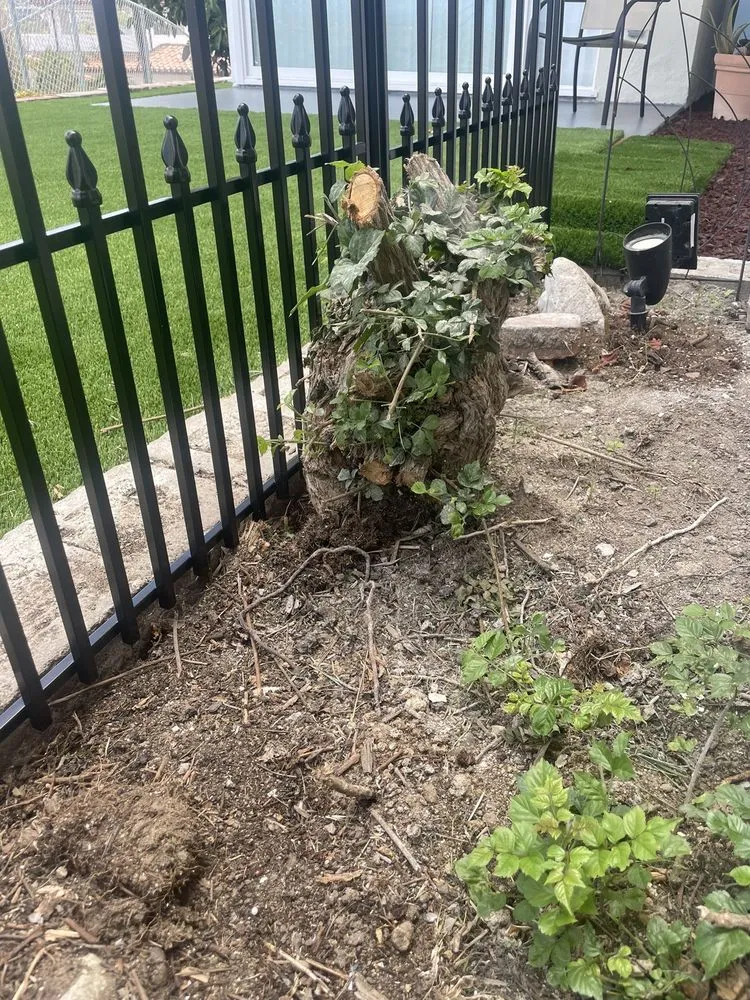 Affordable lawn care service experts serving San Juan Capistrano, CA - Cano Landscapes