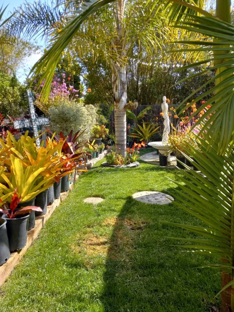 Expert yard maintenance in San Juan Capistrano, CA by Cano Landscapes